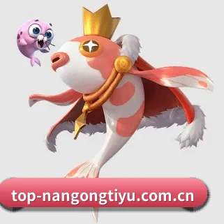 南宫体育 APP